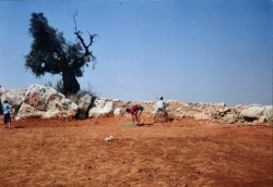 נוער אלקנה בפעולה