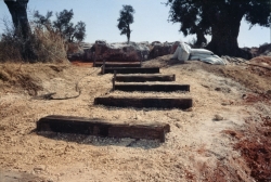 המדרגות לגורן