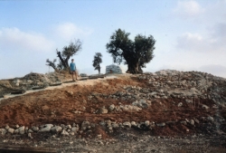 בניית המדרגות מאדני רכבת שהובאו מחיפה