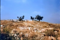 מראה מקורי של הגורן