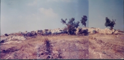 מראה הגורן המקורי