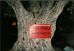 ואפילו שילוט הכוונה