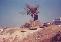 אלבום תיעוד מיזם הקמת פארק הגורן בקיץ 1988 (באדיבות איצ'ה ניסן, תשפ"ו 2026)
איצ'ה ניסן במעלה המדרגות החדשות.