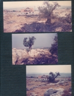 אלבום תיעוד מיזם הקמת פארק הגורן בקיץ 1988 (באדיבות איצ'ה ניסן, תשפ"ו 2026)
בית בשכונת ה-165, כביש 505 ומתחם רייק.
