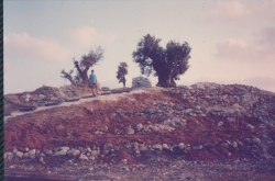 אלבום תיעוד מיזם הקמת פארק הגורן בקיץ 1988 (באדיבות איצ'ה ניסן, תשפ"ו 2026)