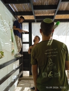 בניית סוכות לאזרחים ותיקים